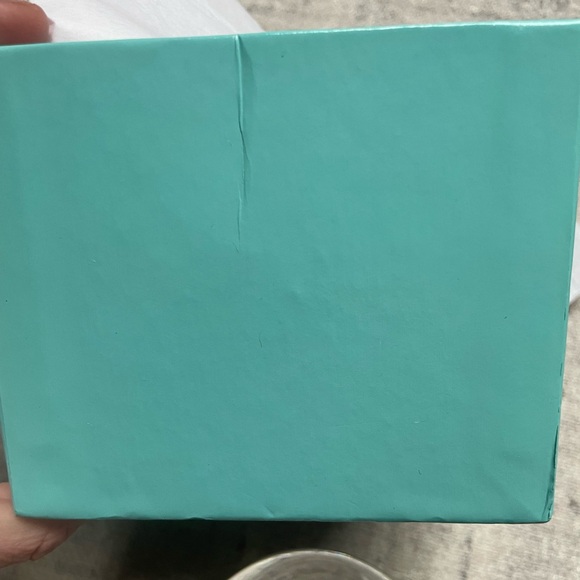 Tiffany & Co Apple Paperweight - Picture 11 of 11